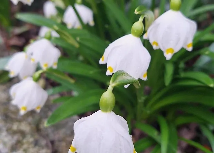 Atelier-fewo-polenztal Apartament *